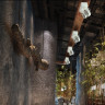 Спот NOVOTECH SNAIL LED накладной NV-357561